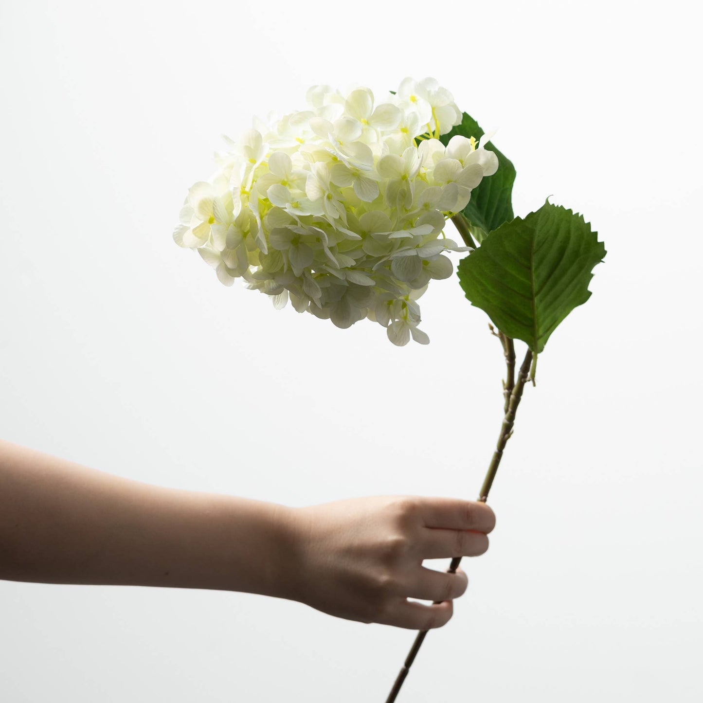 Ivory Cone Hydrangea Spray Large