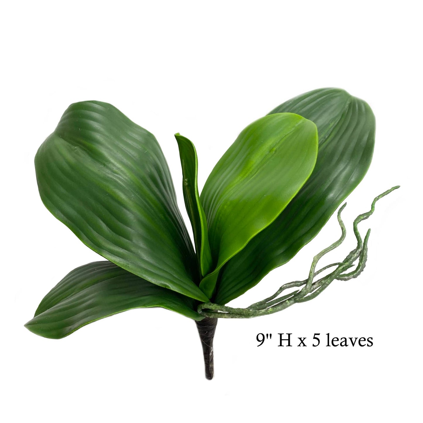 Artificial Orchid Leaf