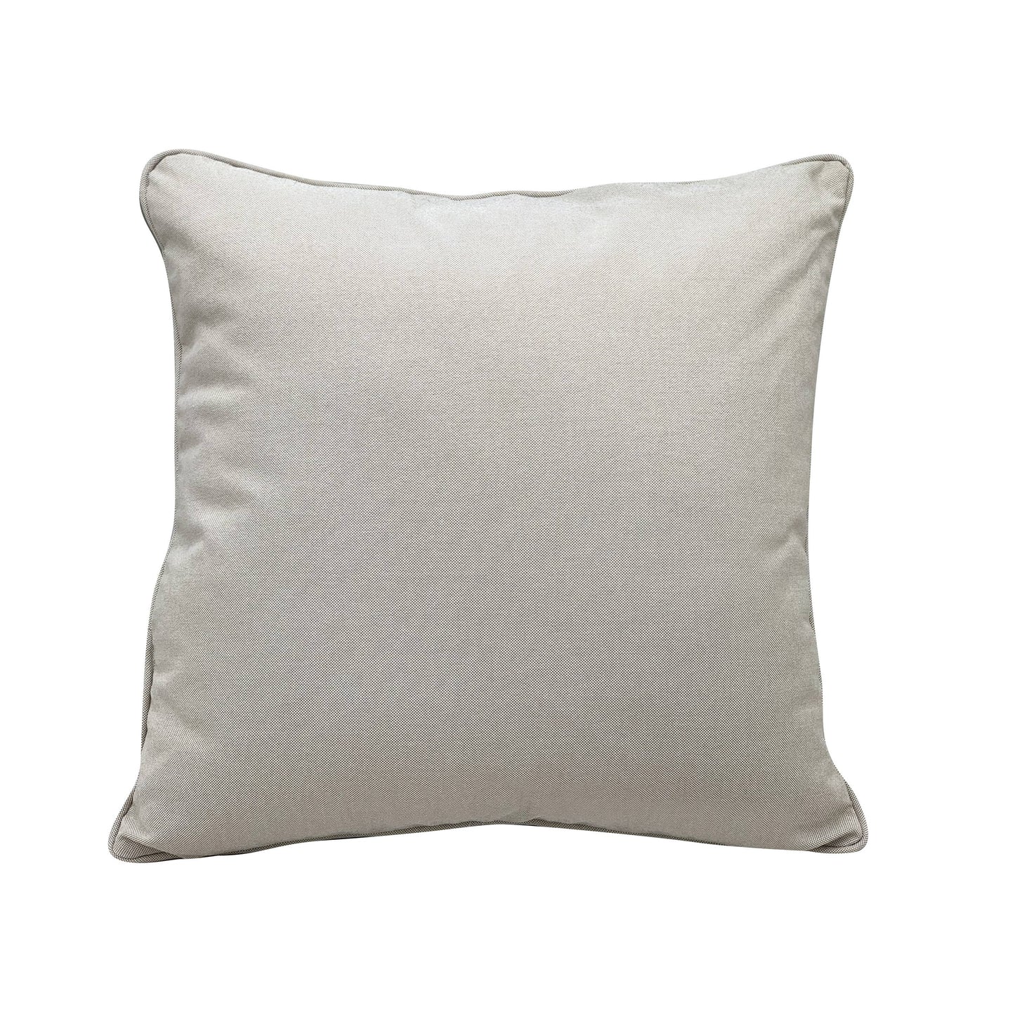 Fan Palm Indoor/Outdoor Pillow Cover