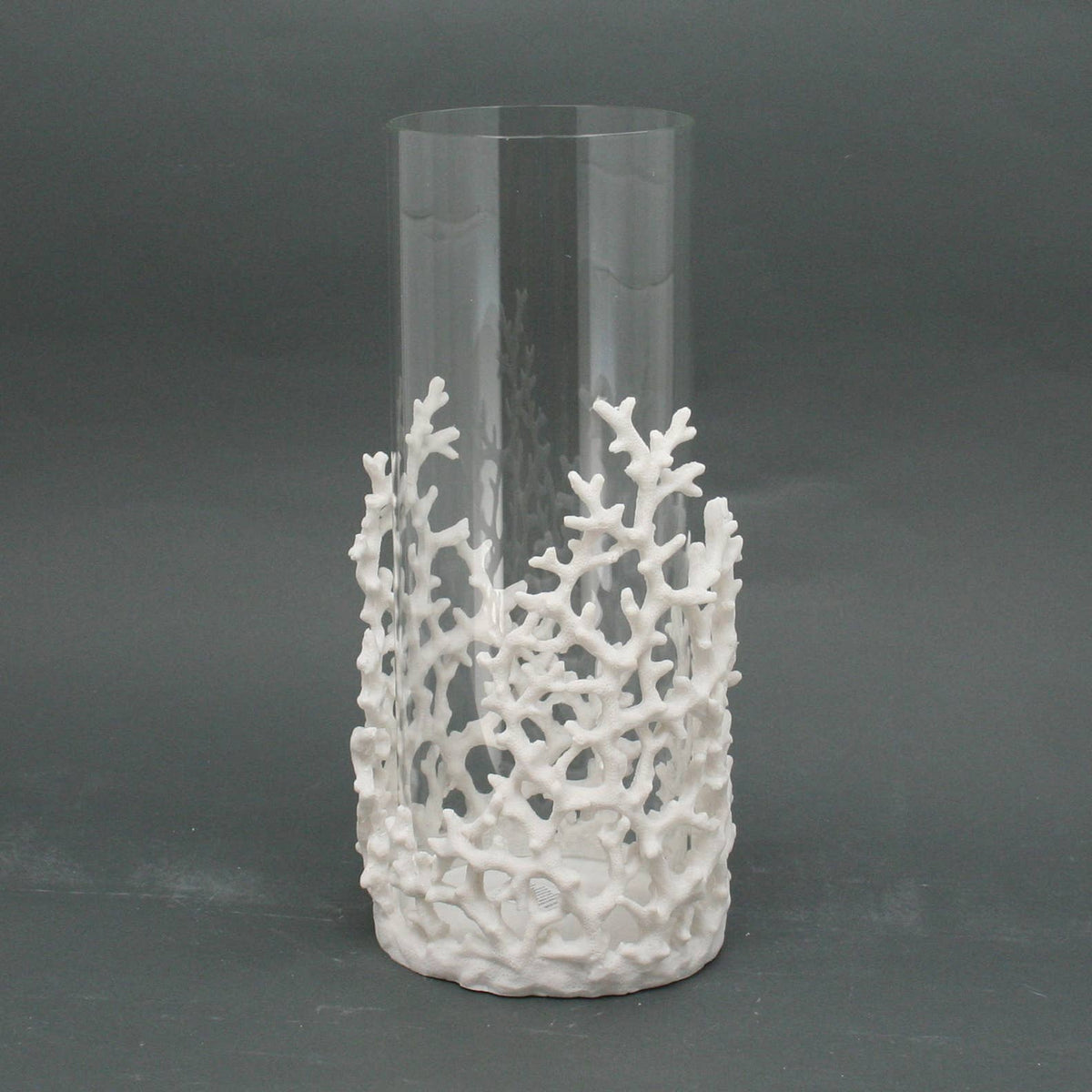 Large White Coral Hurricane