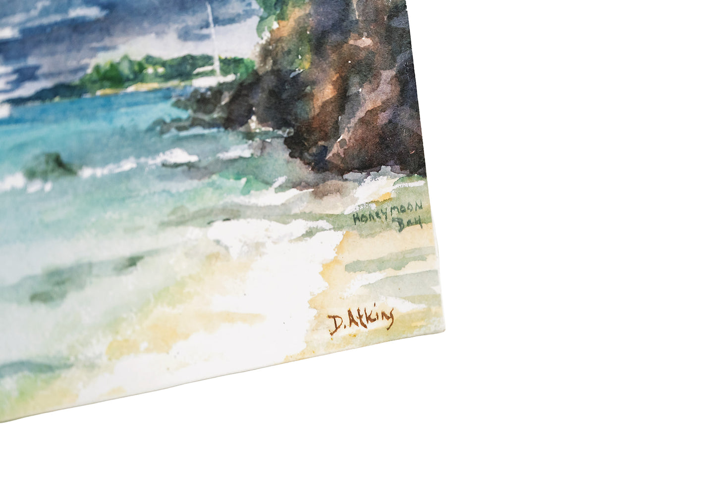 Donna Atkins Canvas Artwork