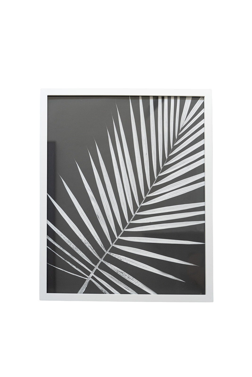 Framed Palm Artwork