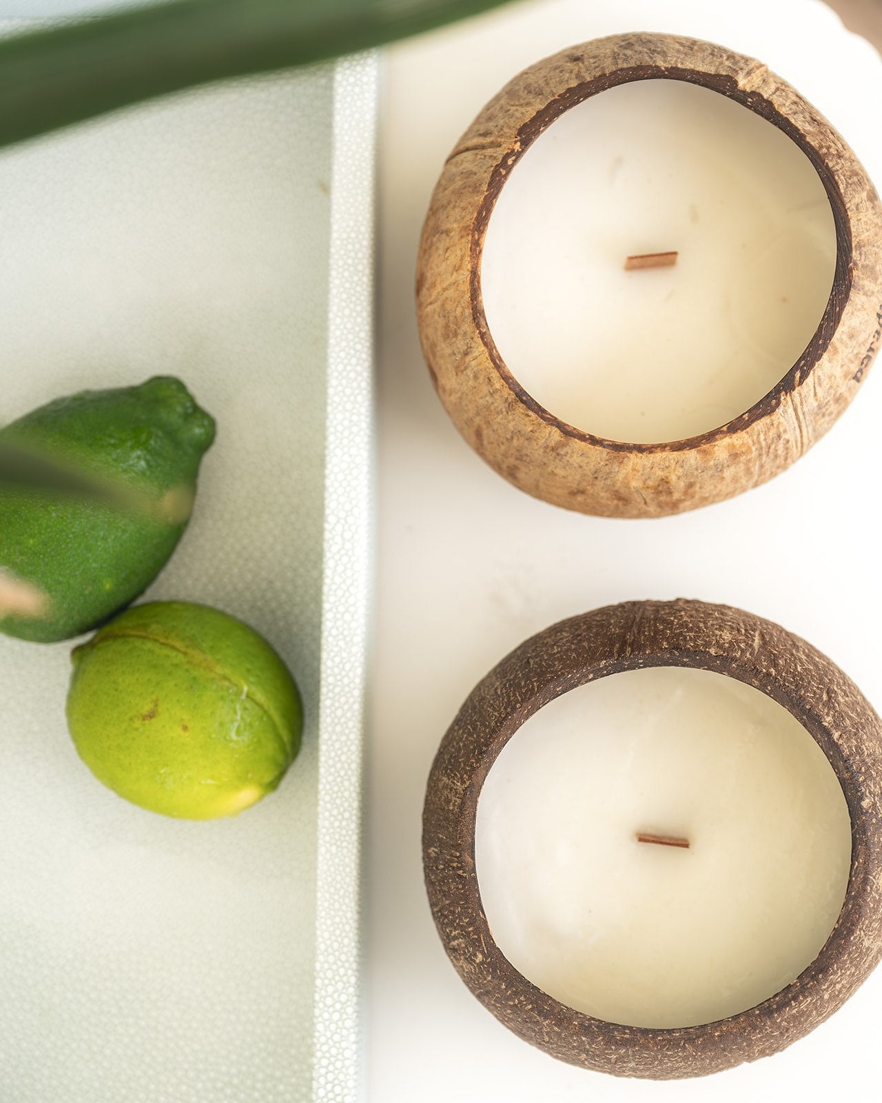 Coconut Vibes Candle