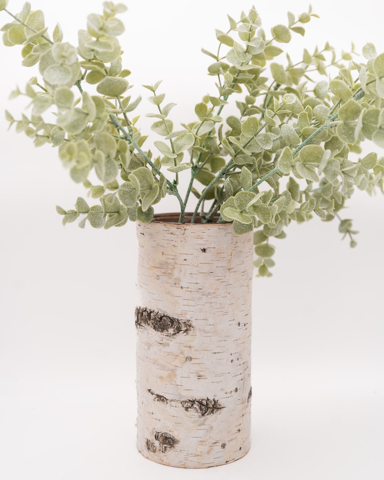 Birch Tree Vase