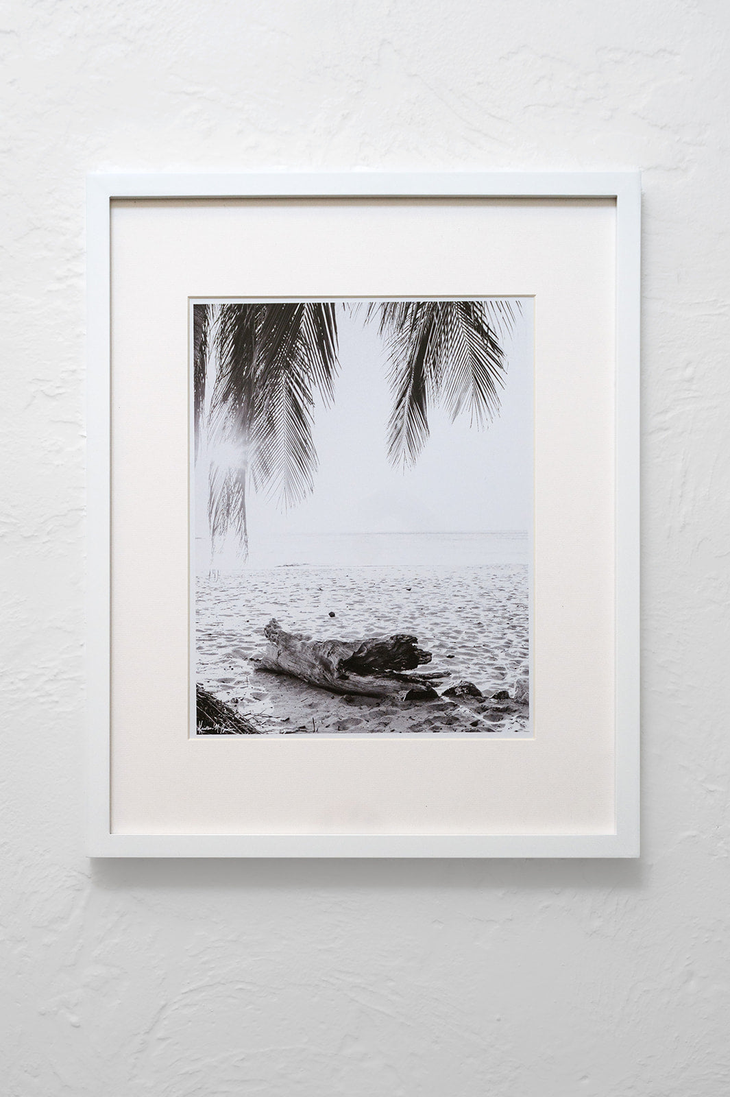 Framed Costa Rica Photography