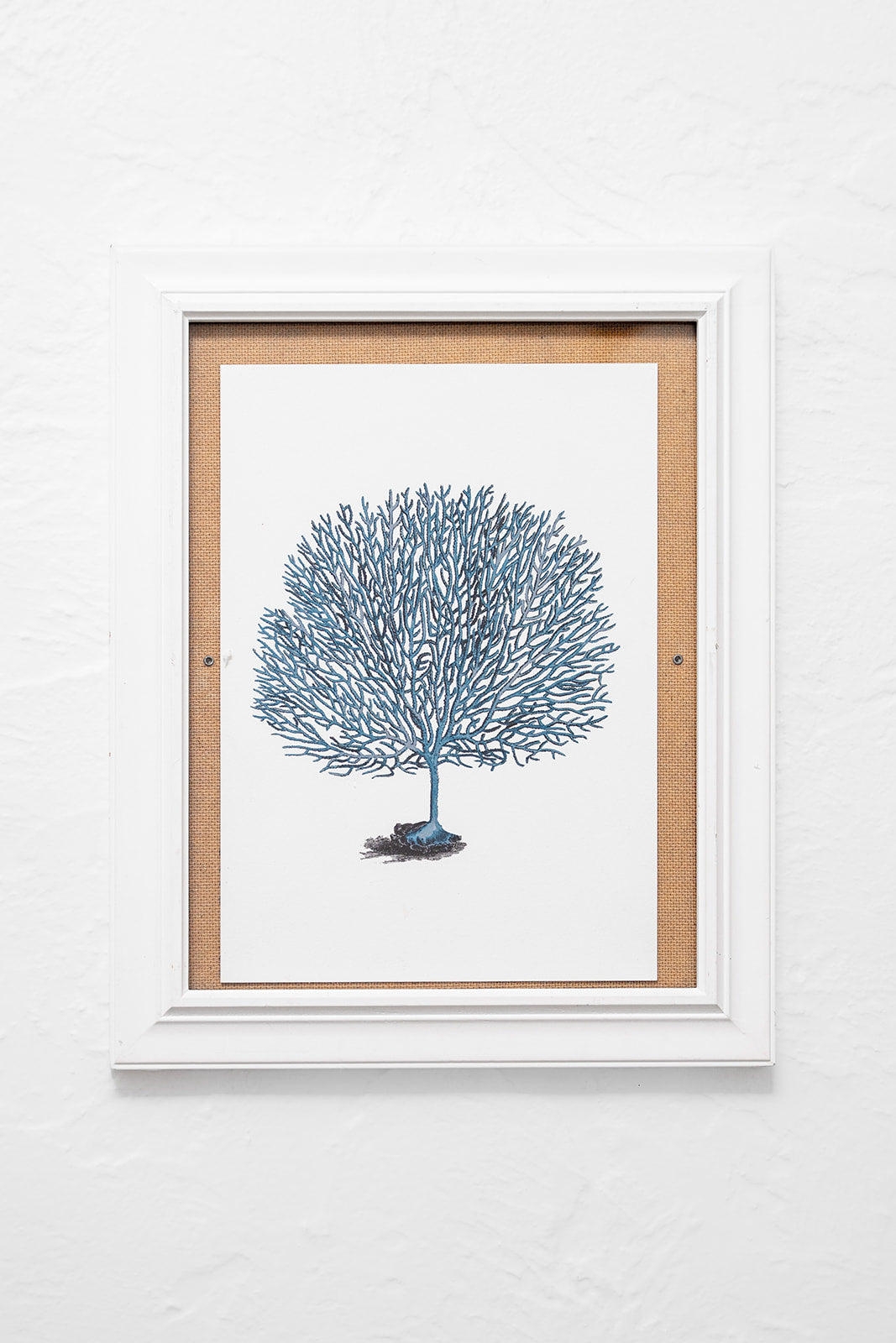 Framed Blue Coral Artwork