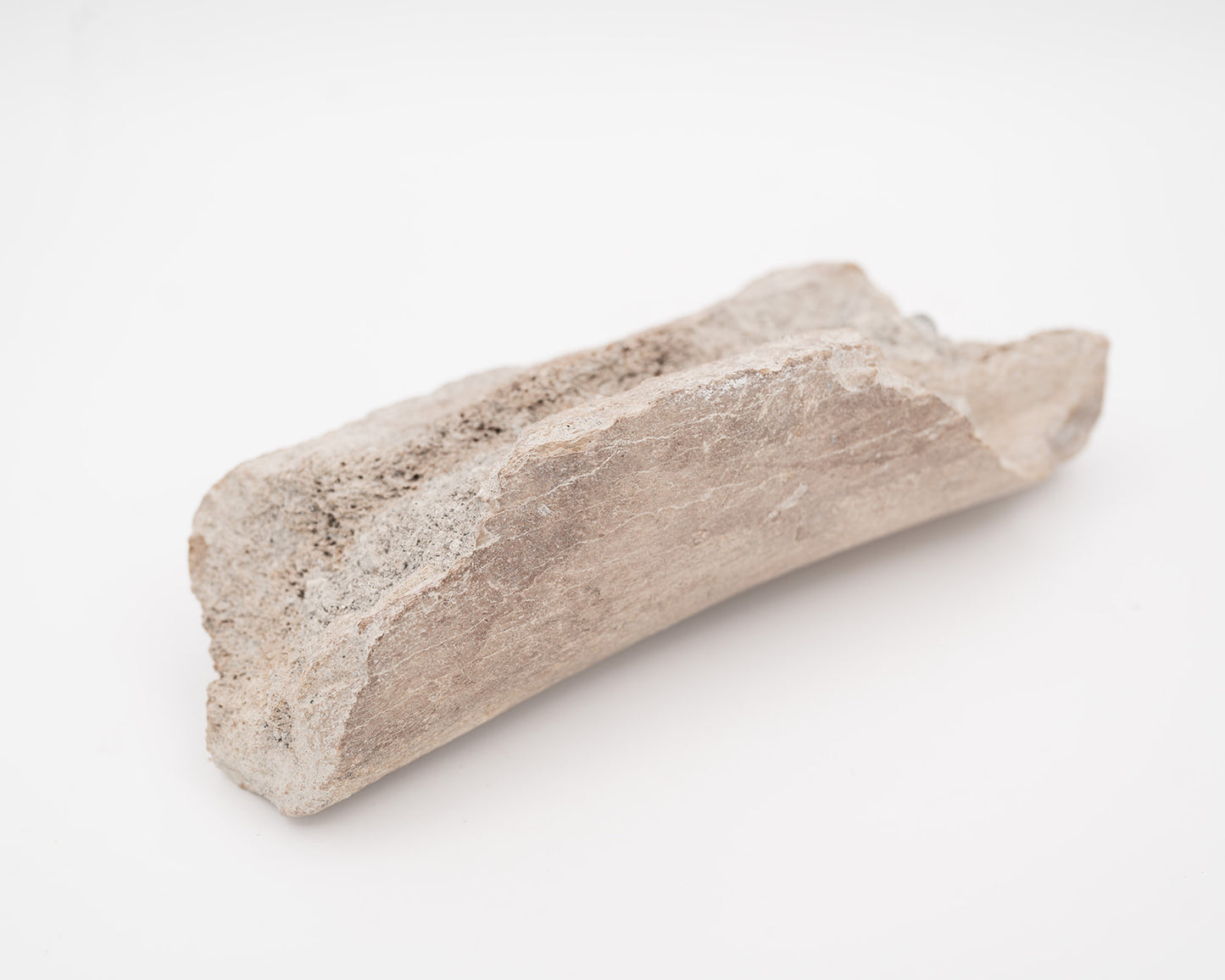 Driftwood Rock Paper Weight
