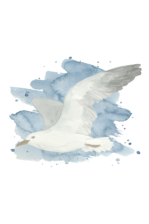 Watercolor Coastal Birds