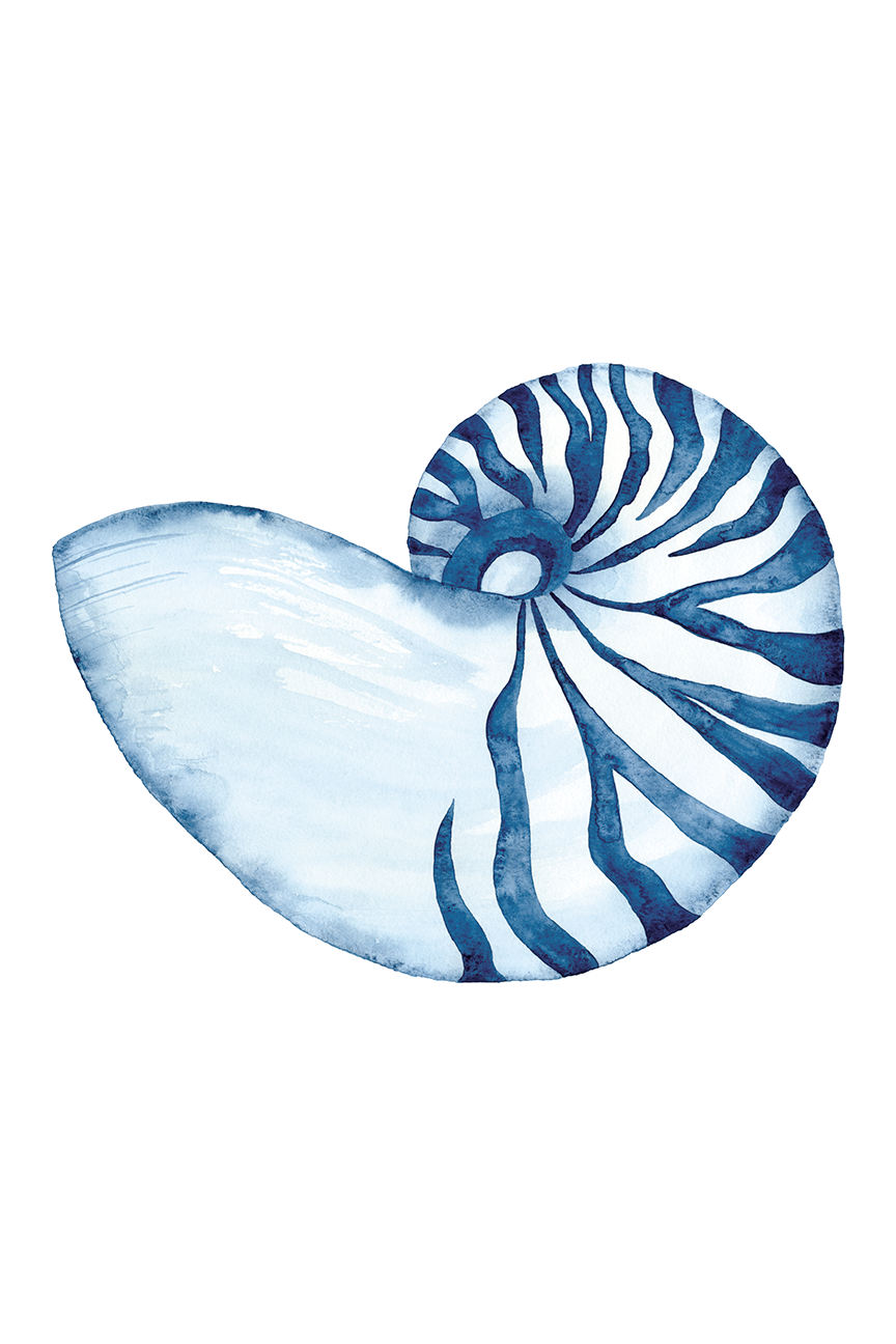 Watercolor Sea Creatures