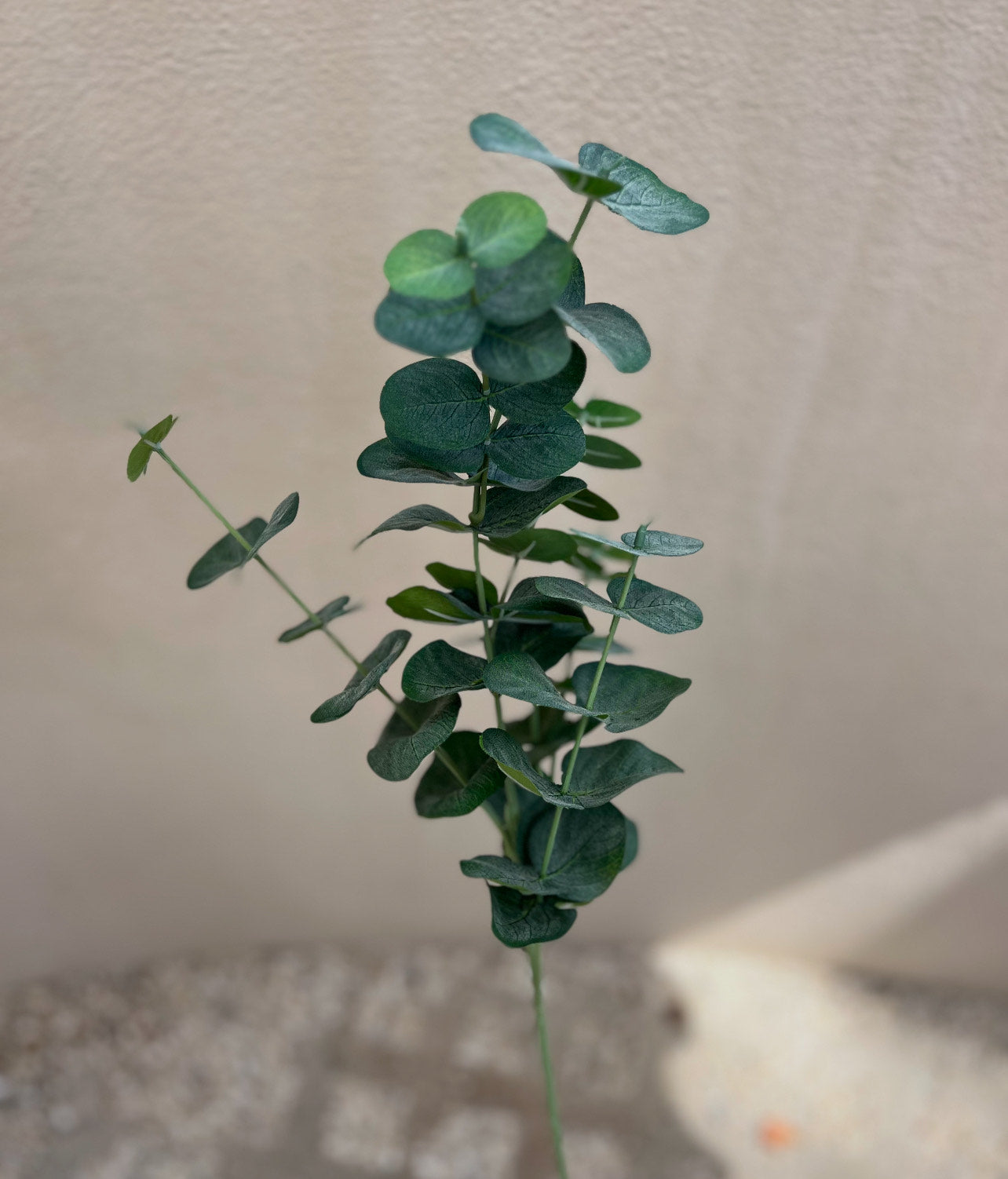 Faux eucalyptus