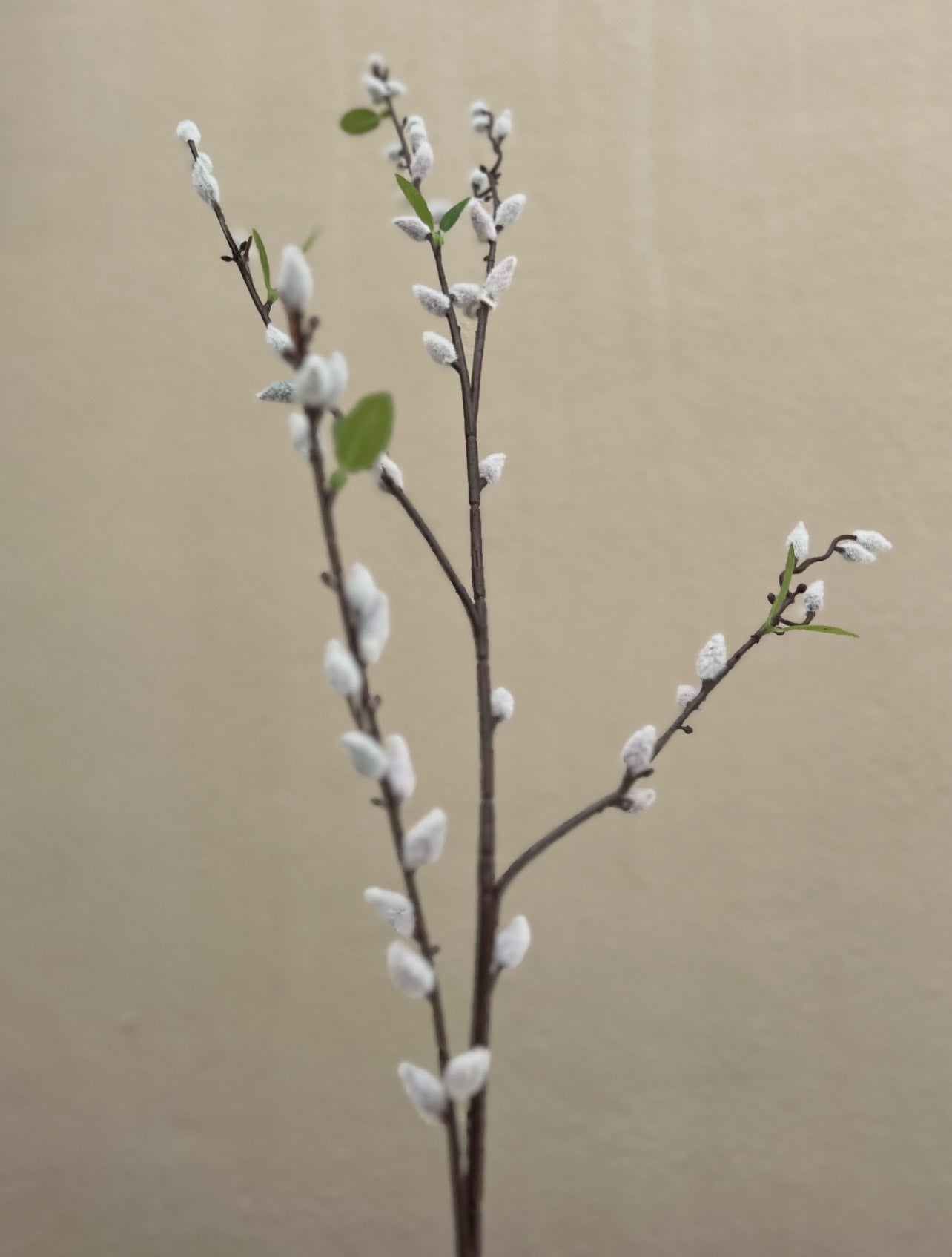 Faux Lambs Tail Stem