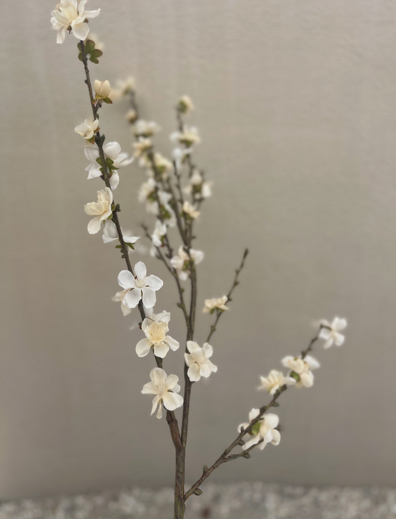 Faux Flowering Quince Ivory Flower