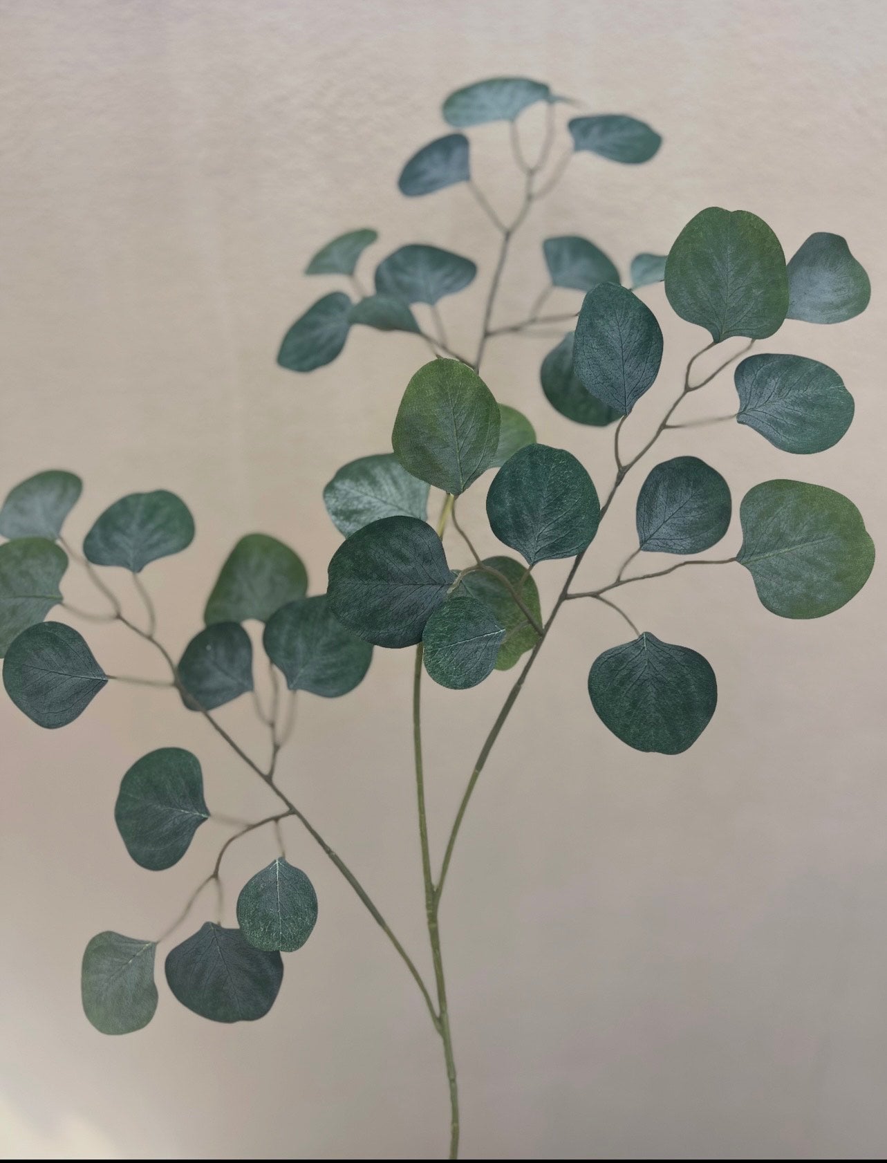 Faux Eucalyptus Stem