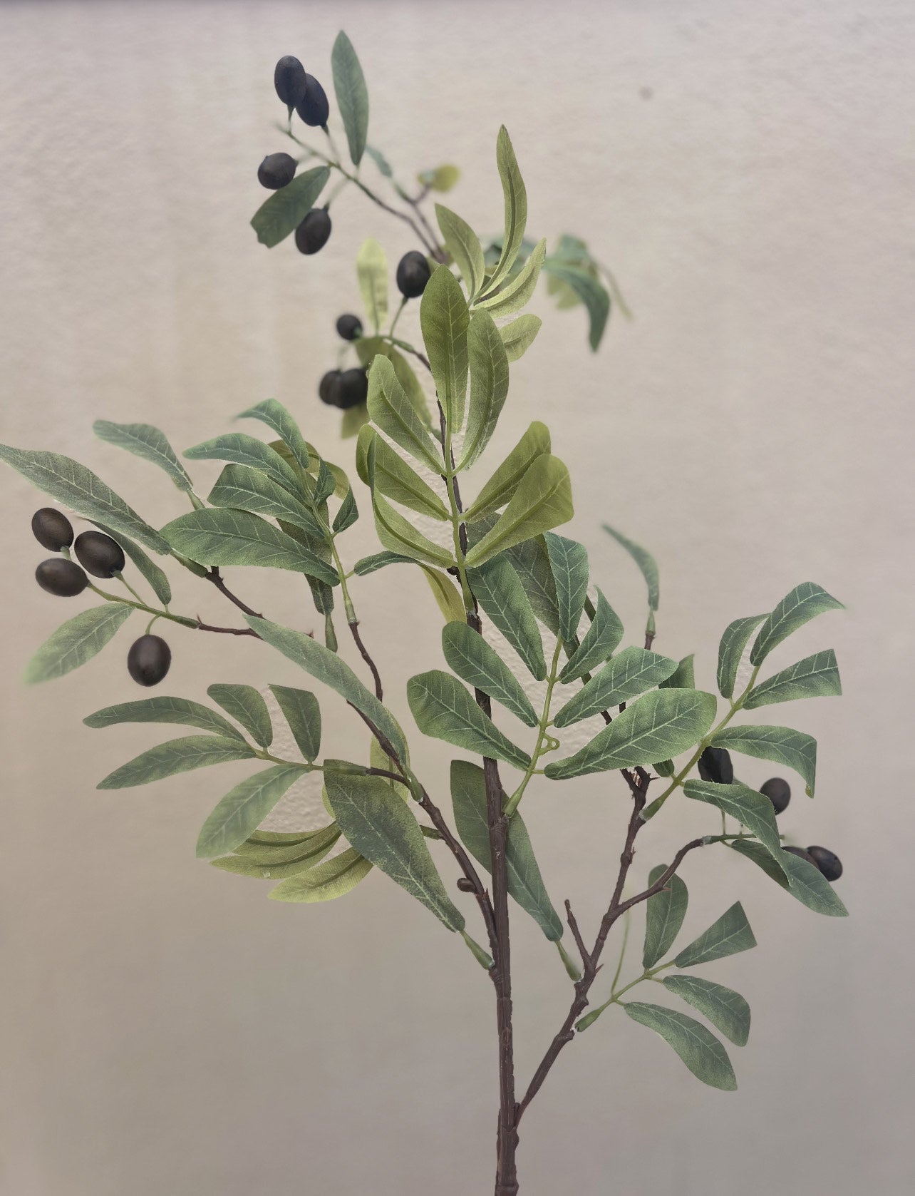 Faux Olive Stem