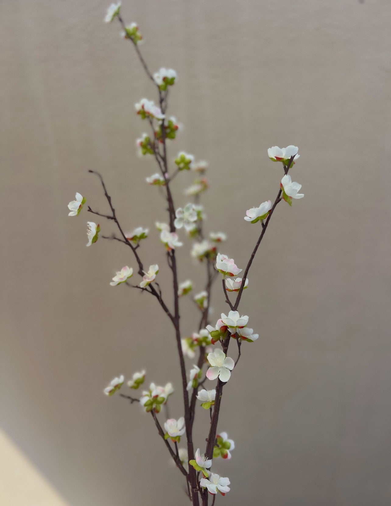 Faux Japanese Quince