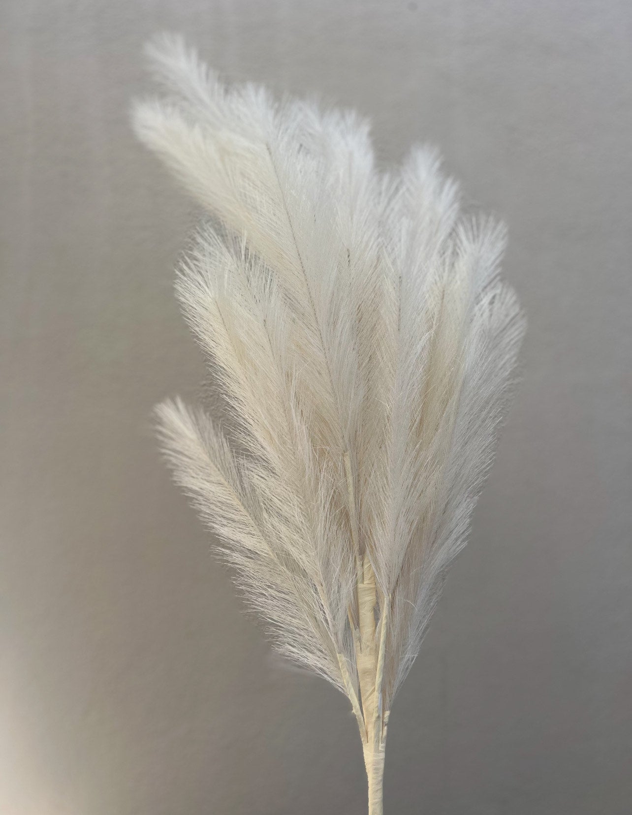 Faux Pampas