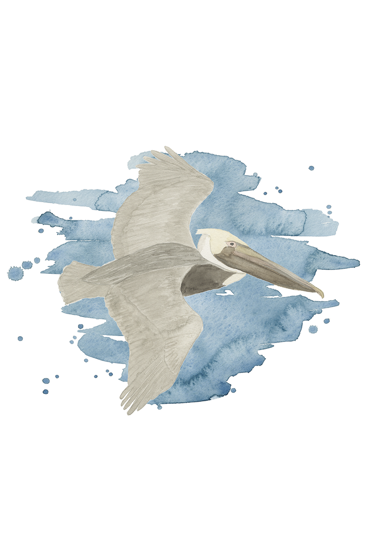 Watercolor Coastal Birds