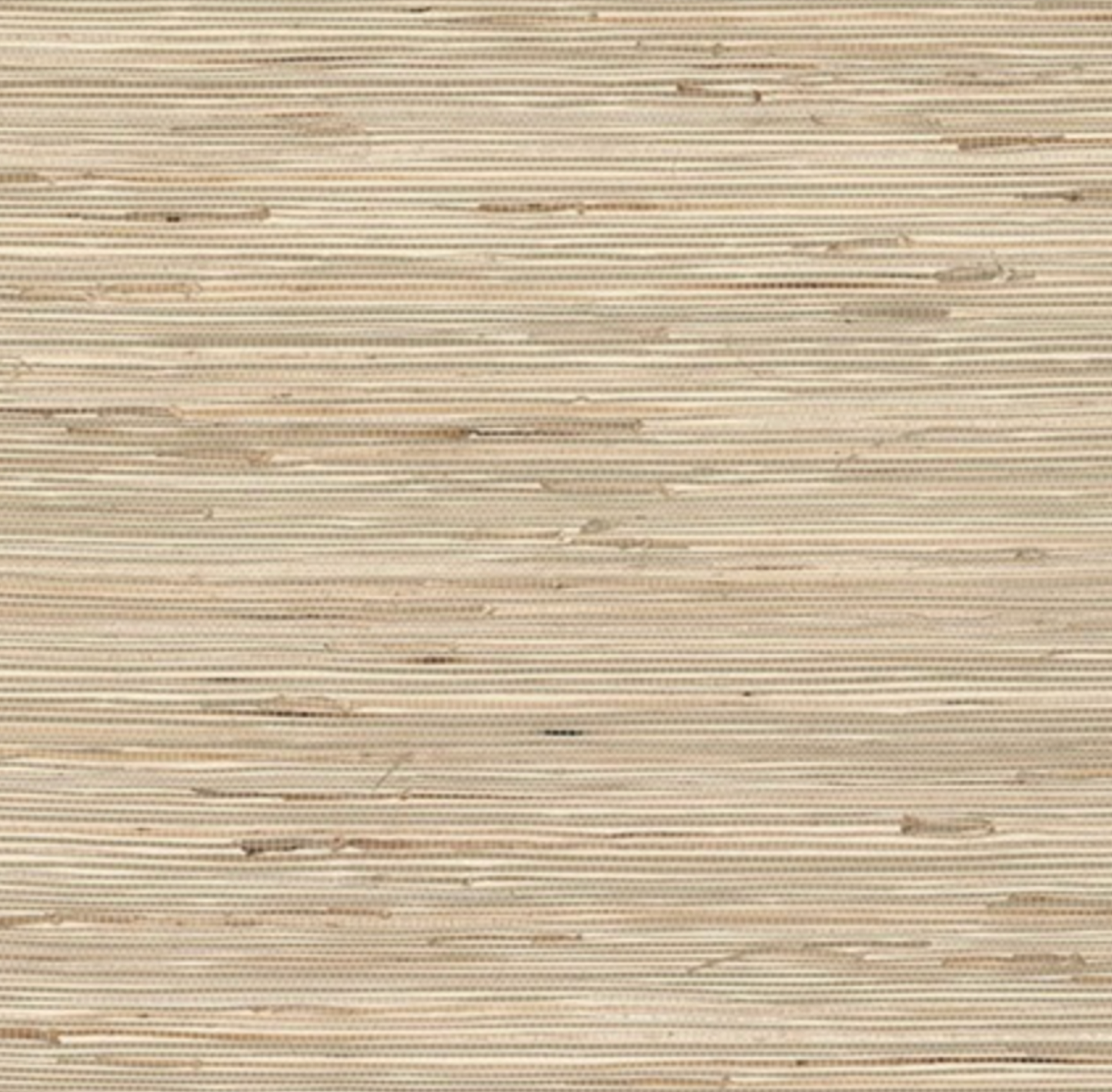 Grasscloth Natural #2 Wallpaper
