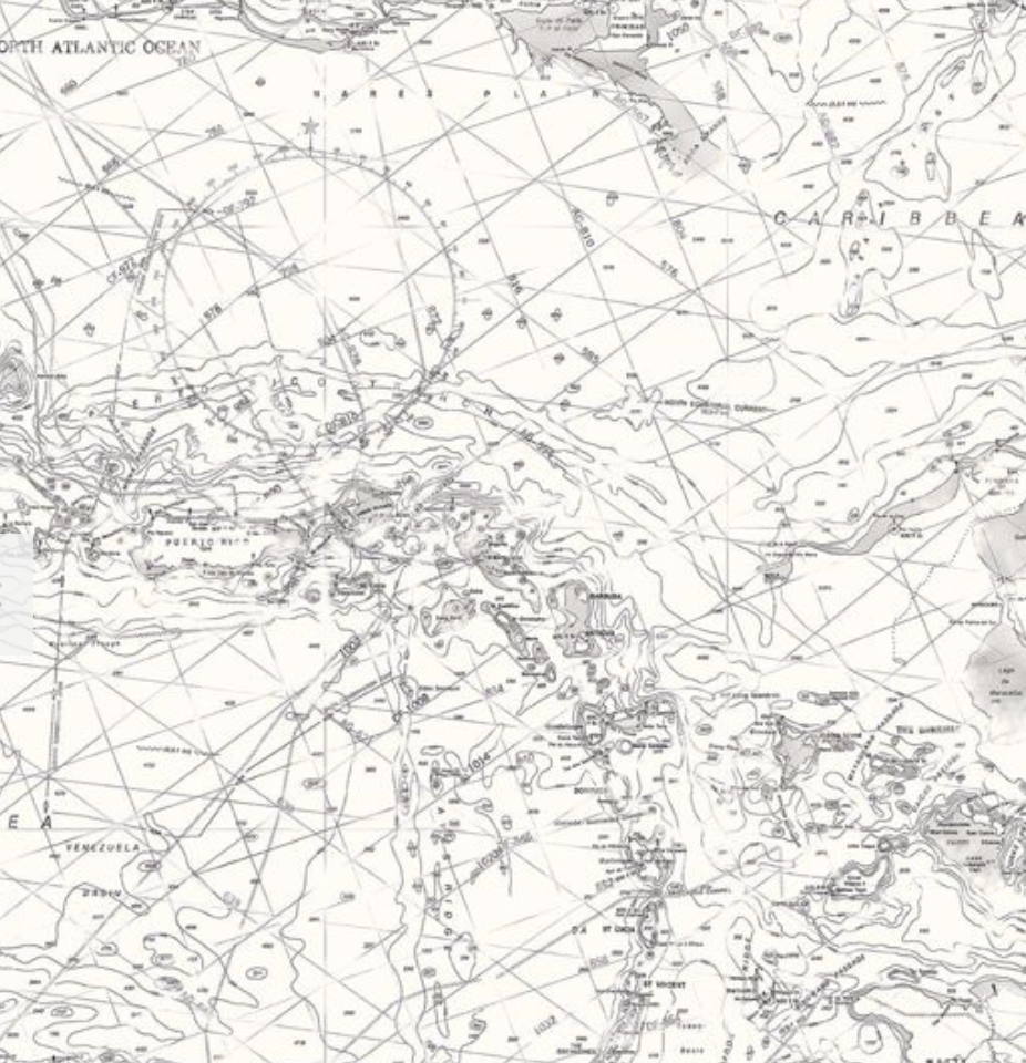 Vintage Coastal Map Gray & White Wallpaper