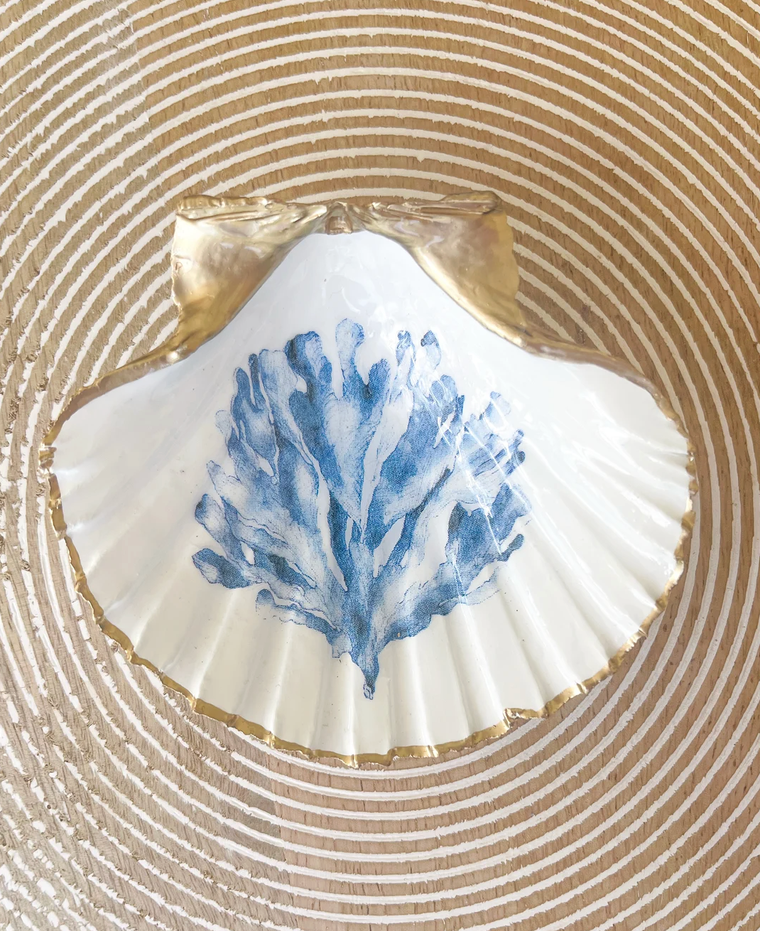 Palmetto Summer- Medium- Reef Trinket Shell Dish