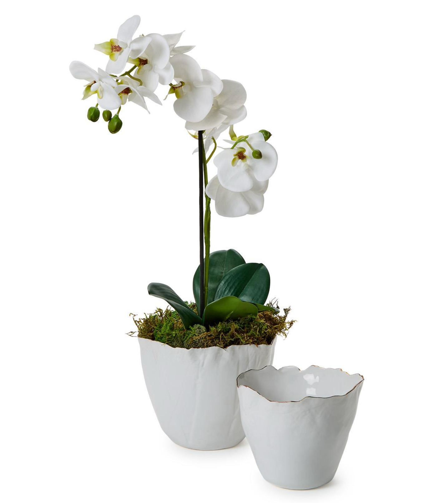 White Planter