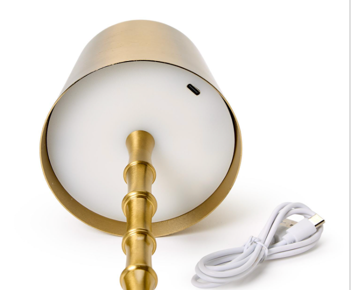 Cordless Gold Bamboo Lamp