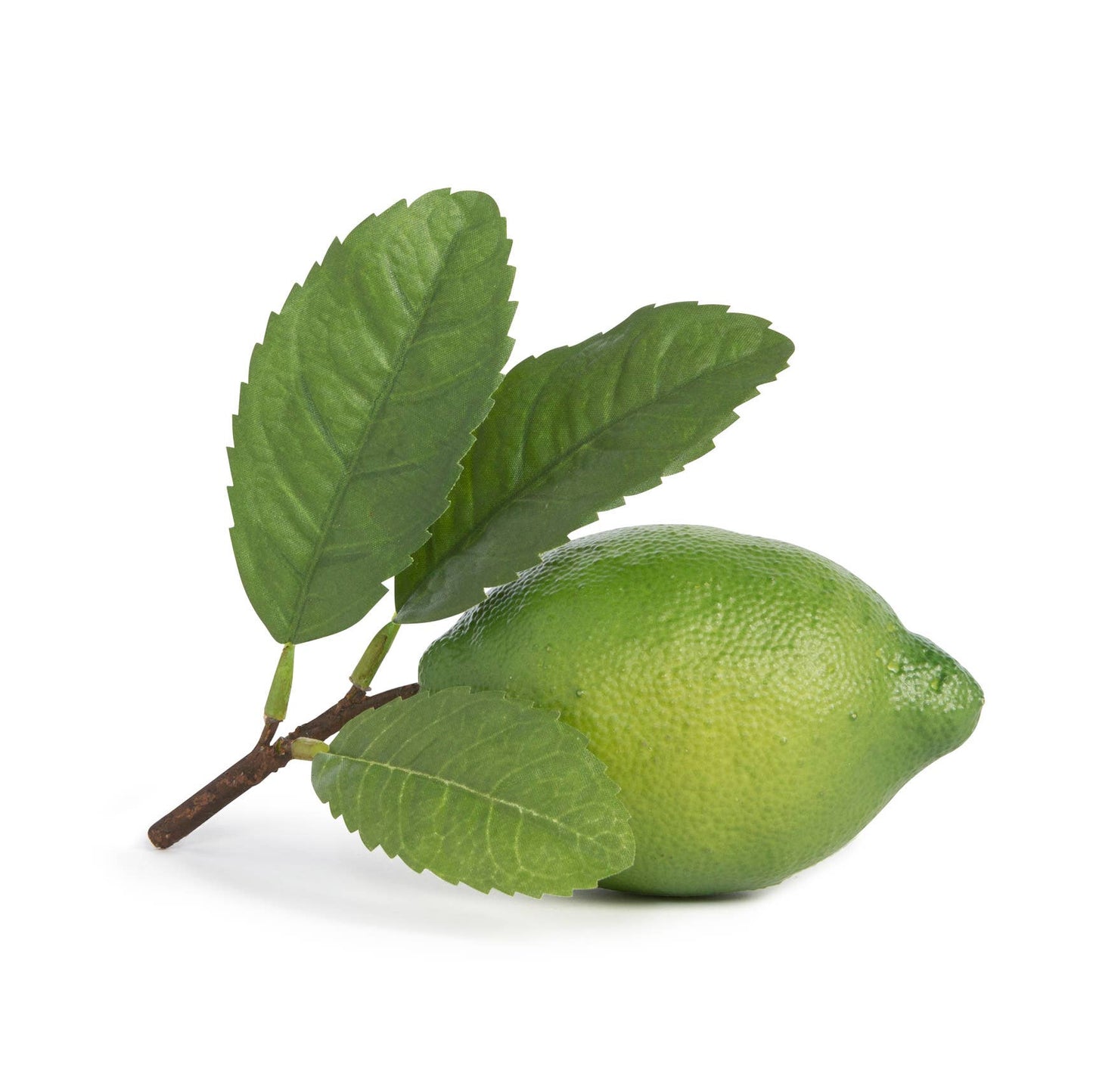 Faux Lime with Leaf