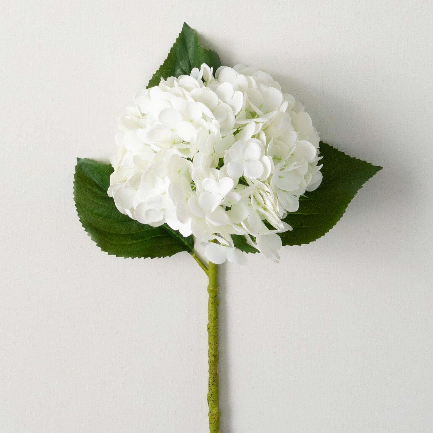 Freshcut White Hydrangea Spray Round