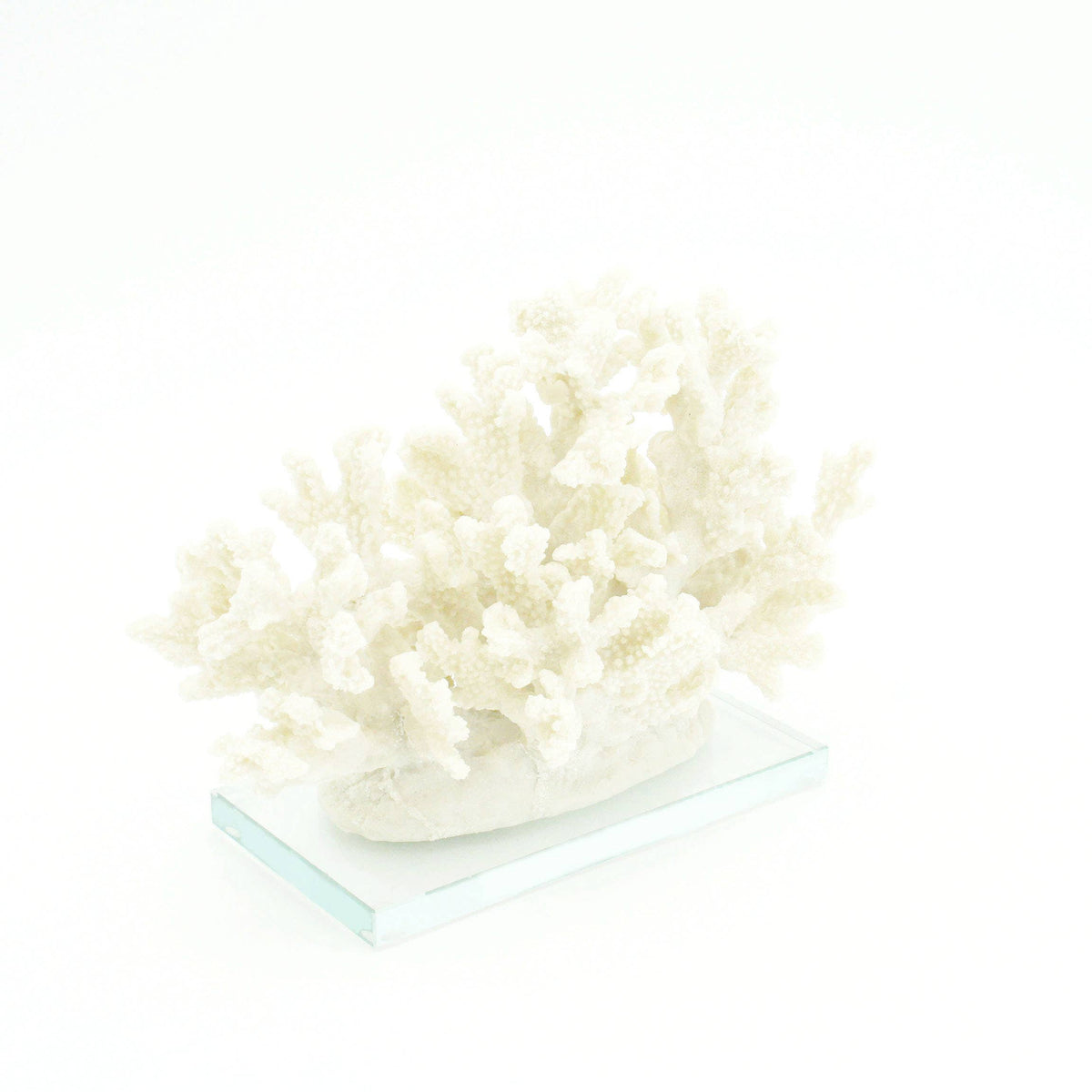 Sanibel Coral