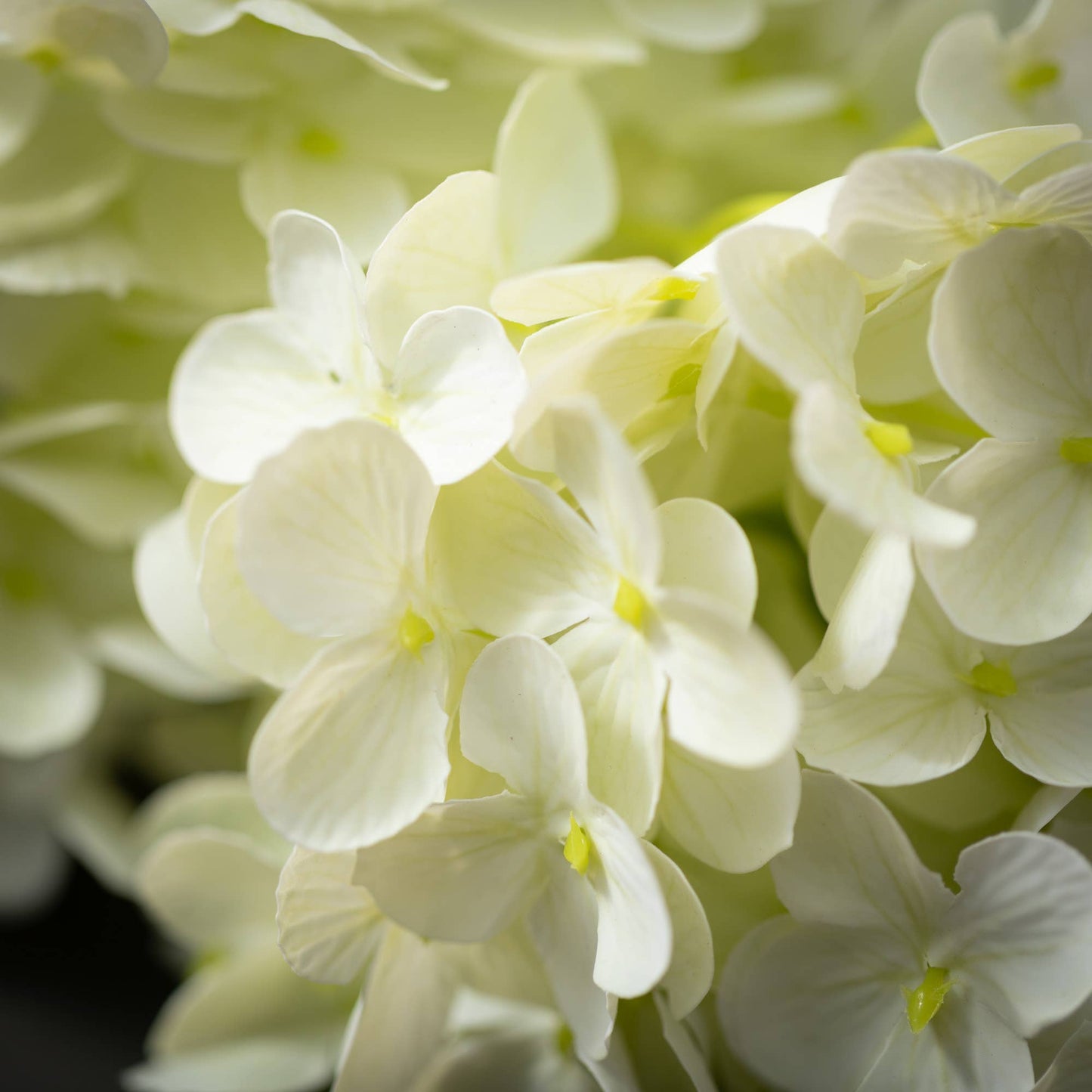 Ivory Cone Hydrangea Spray Large