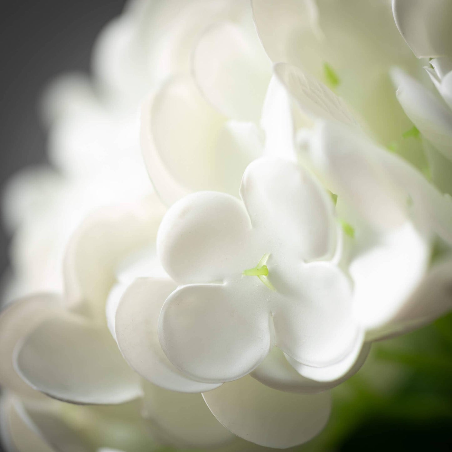 Freshcut White Hydrangea Spray Round