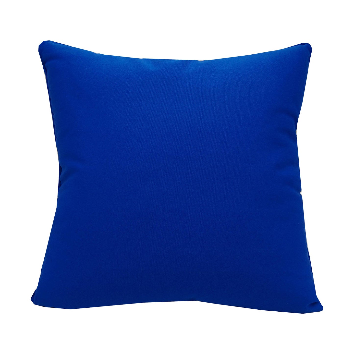 Sea Urchin Indoor/Outdoor Pillow