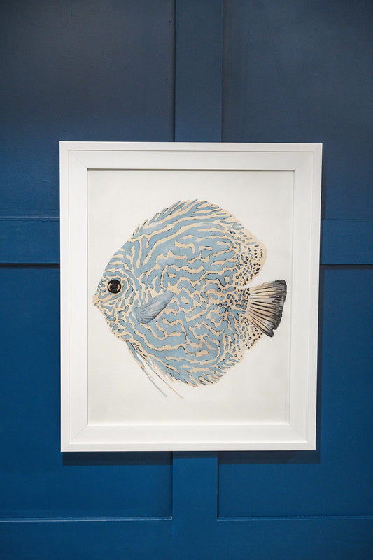 Framed Tropical Fish