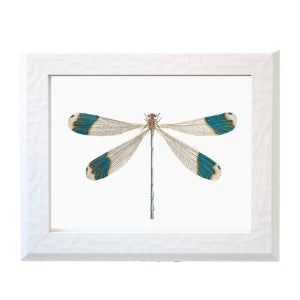 White Wood Framed Dragonfly Print