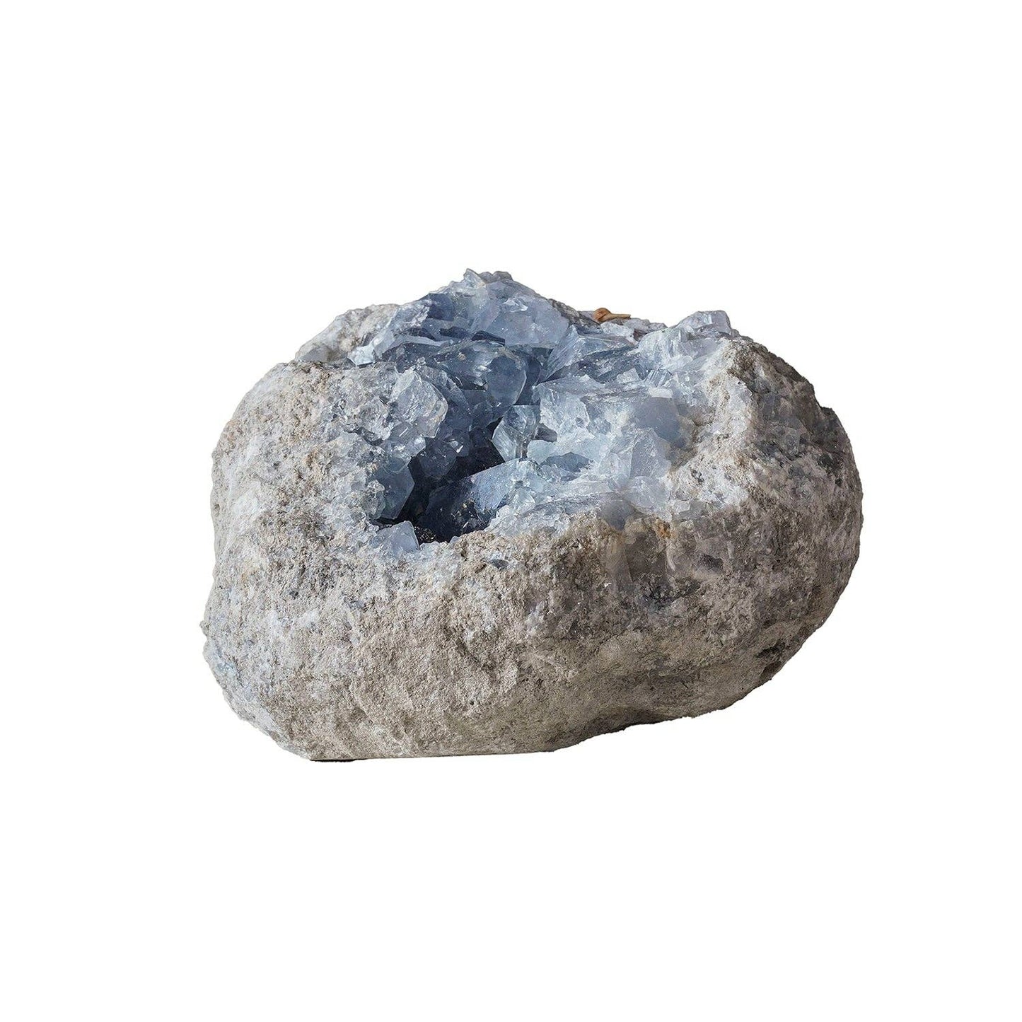 Celestite Geode: Large