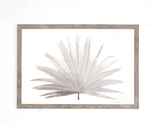 Large Framed Palm Frond