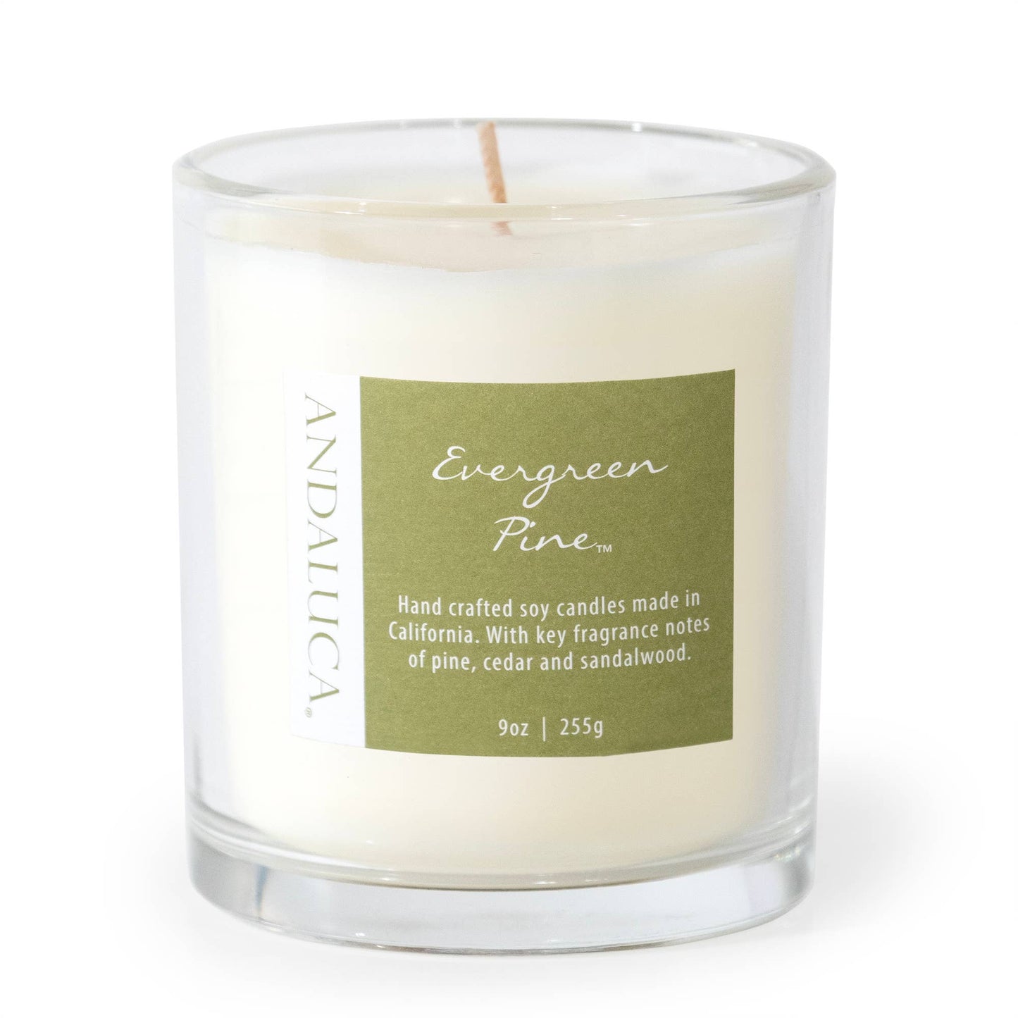 Evergreen Pine 9 oz Candle