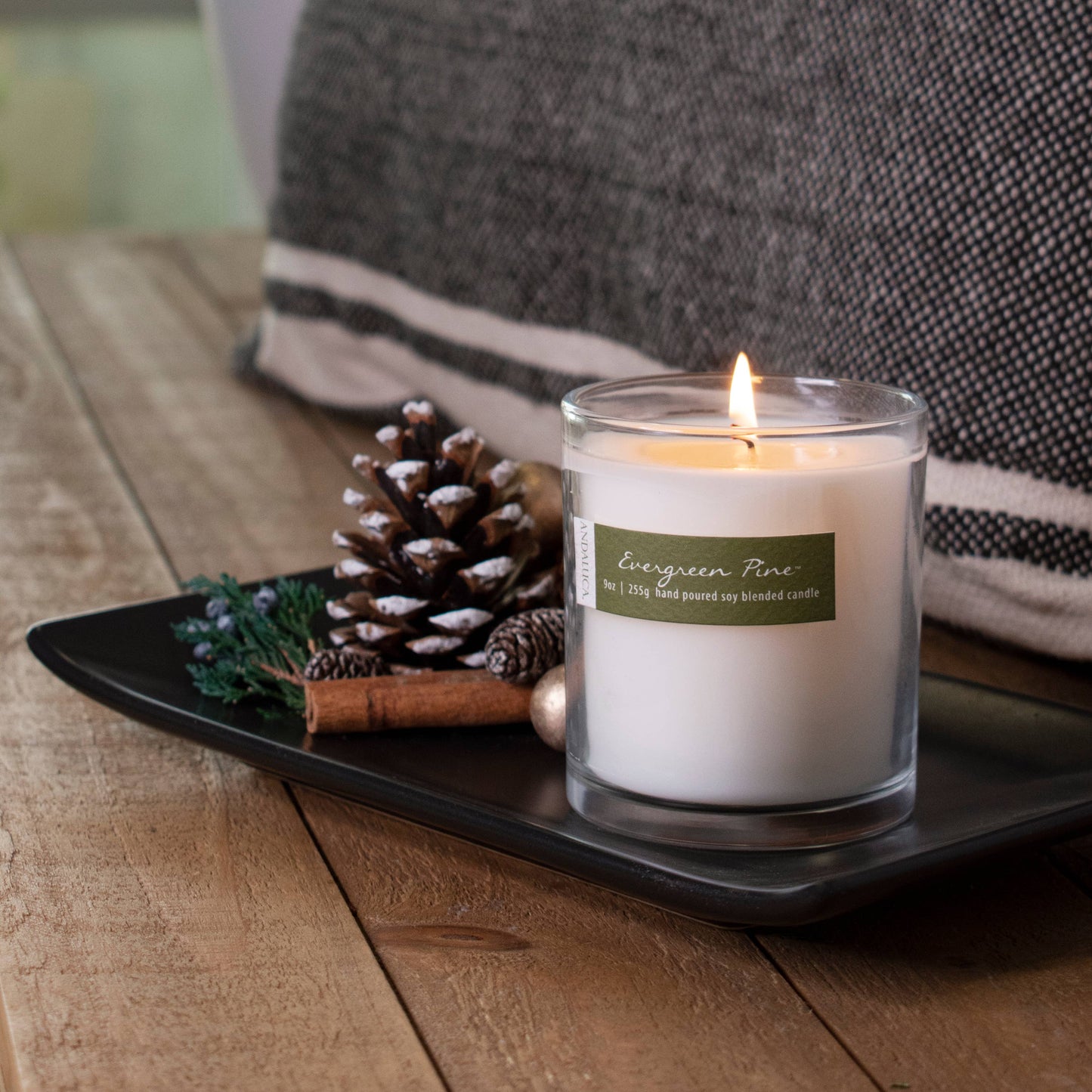 Evergreen Pine 9 oz Candle