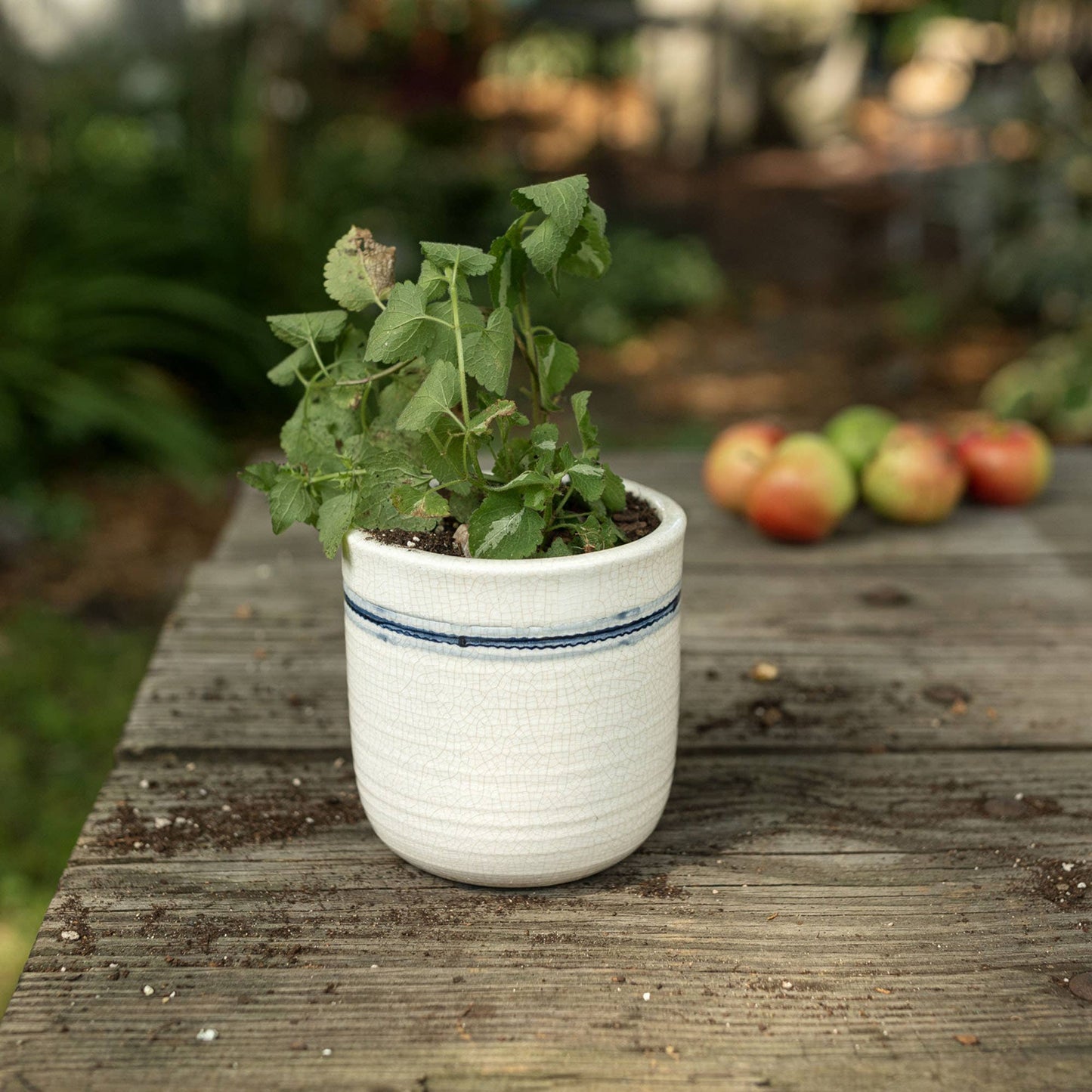 Ticking Stripe Blue & White Crackle Planter