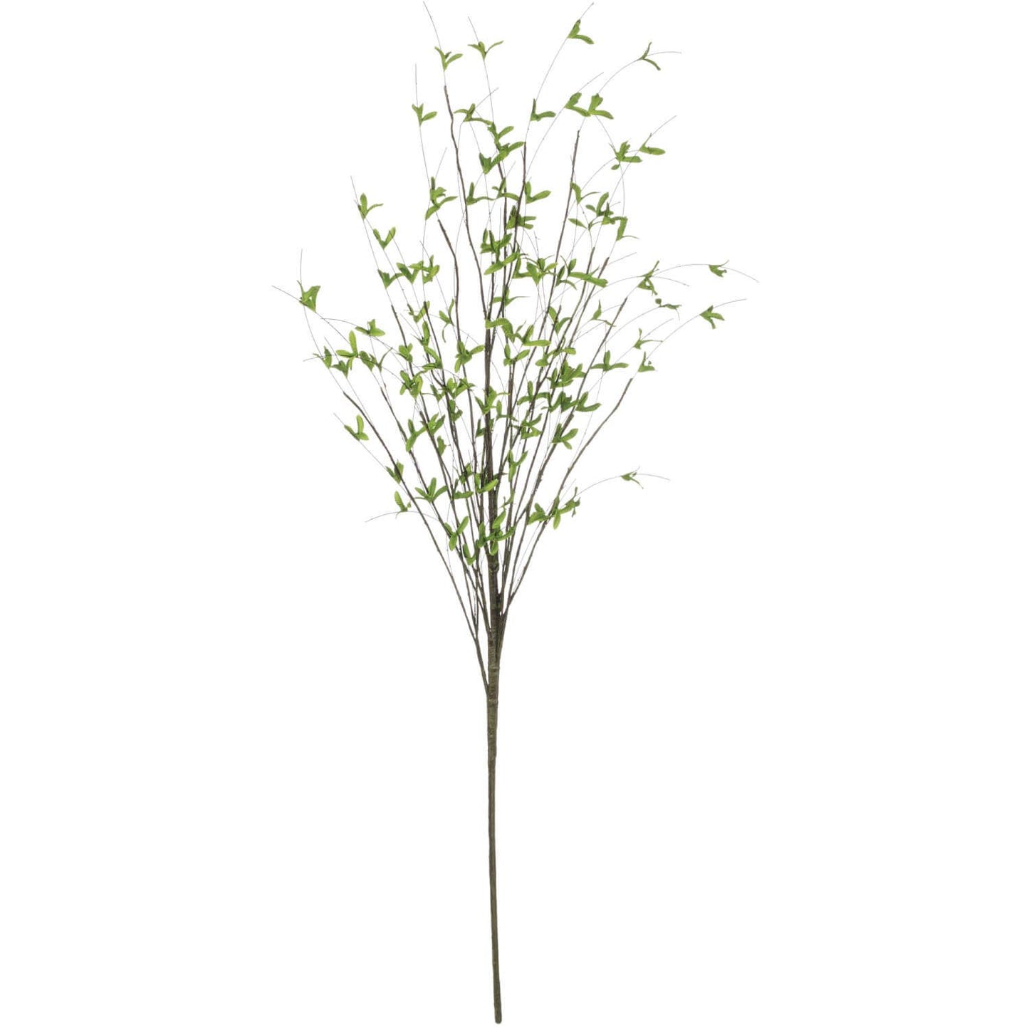 Coastal Foliage Spray - Tall