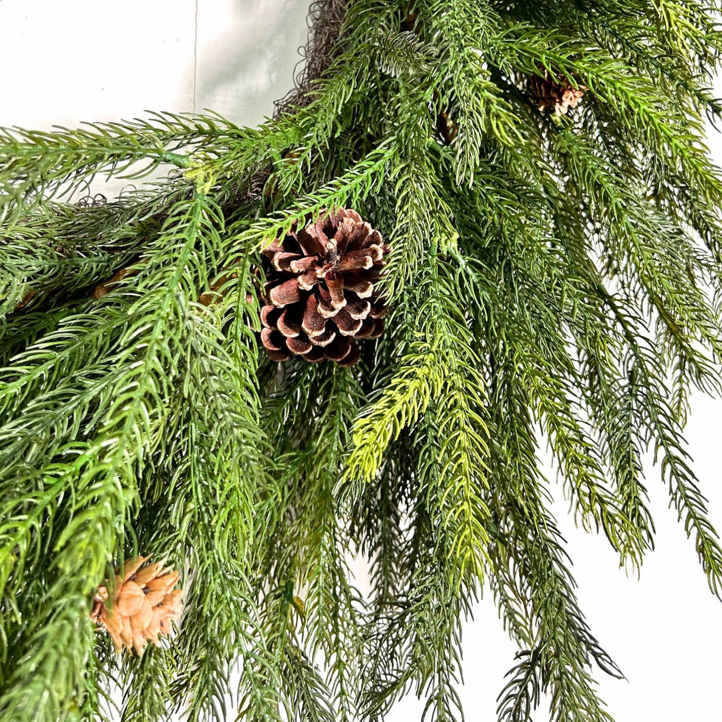 Pacific Norfolk Pine/Cone Christmas Wreath 28''