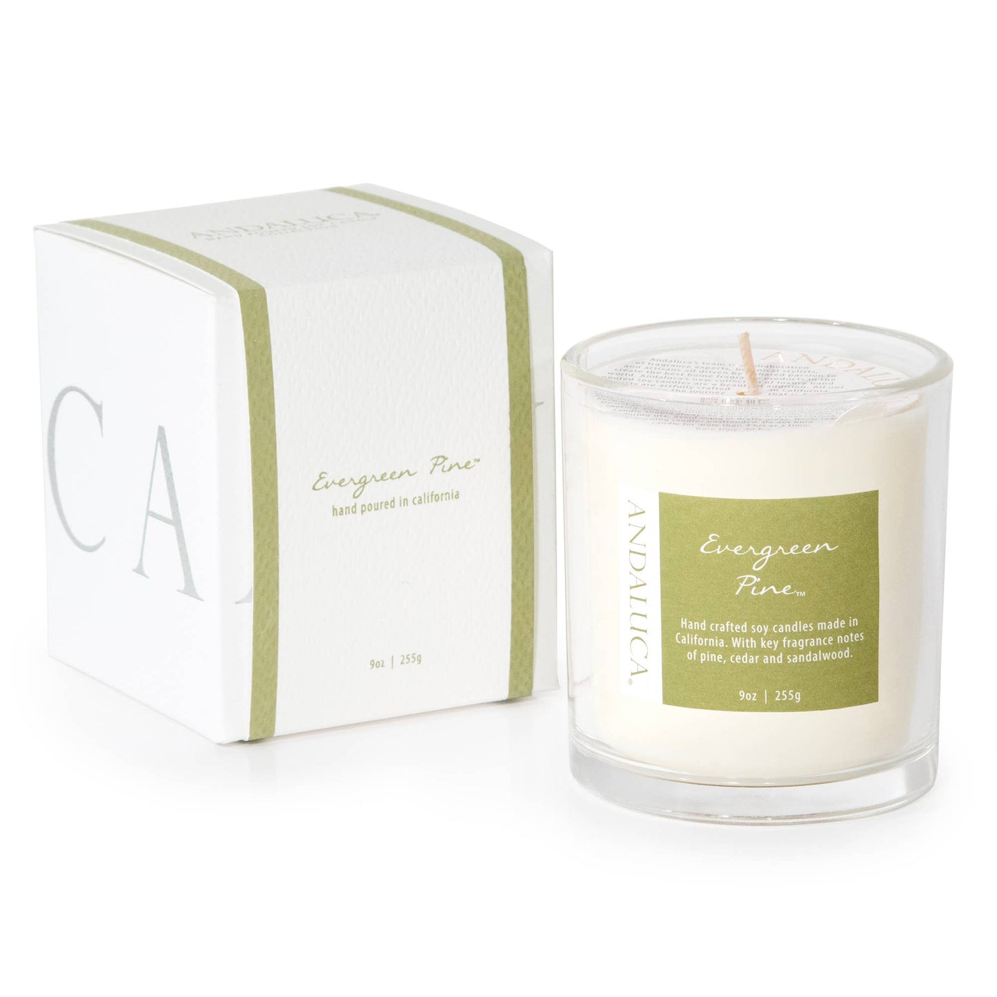 Evergreen Pine 9 oz Candle