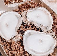 Coastal Oyster Gift Set of 3