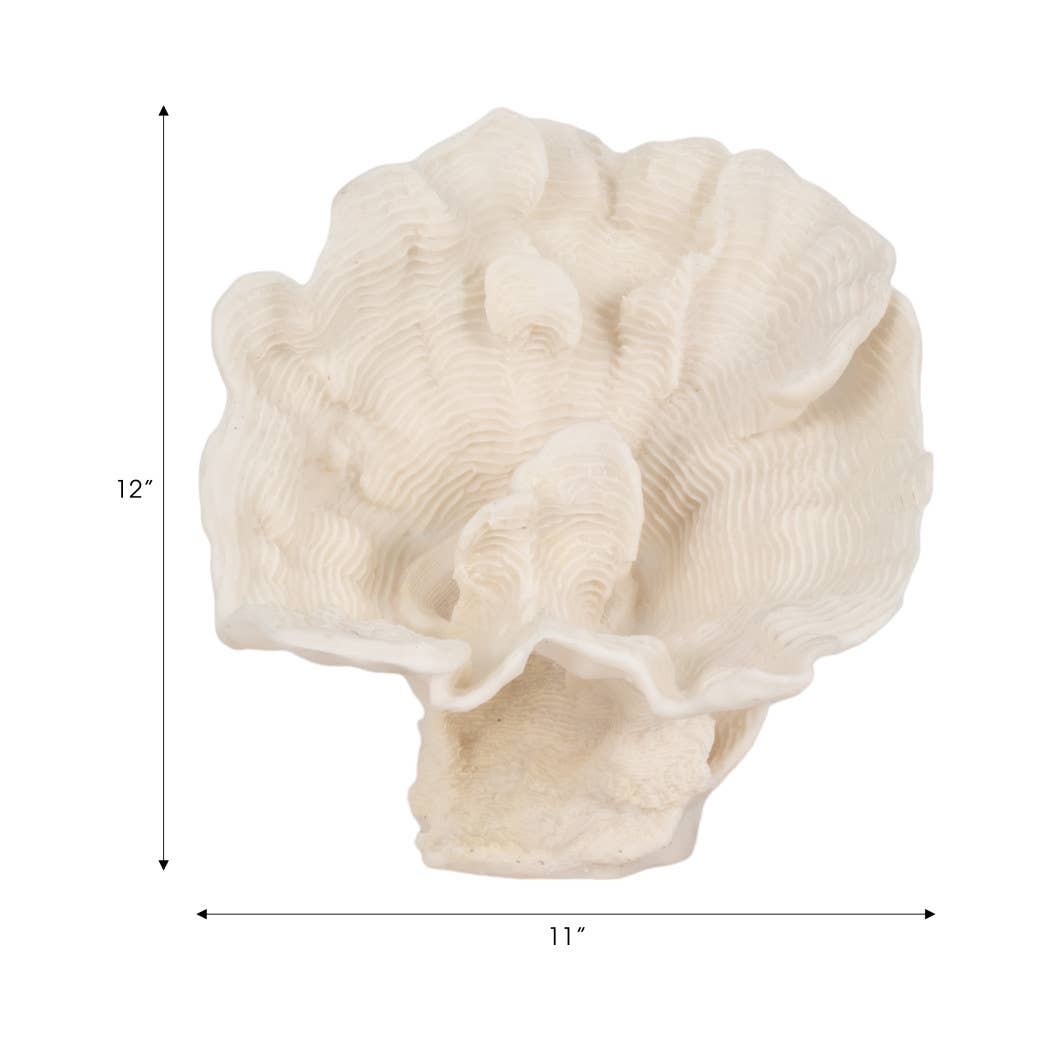 Coastal Coral Fan Decor