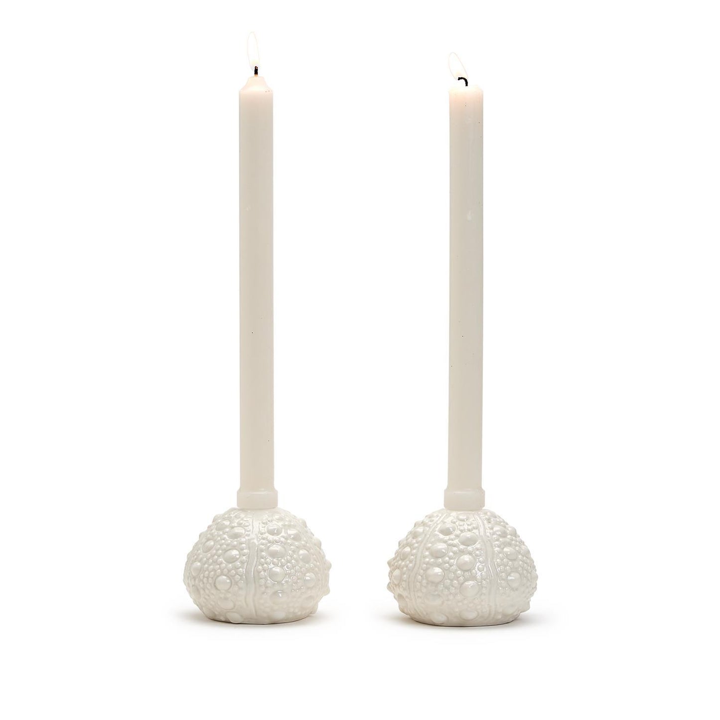 Sea Urchin Candleholder