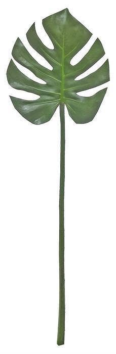Split Leaf