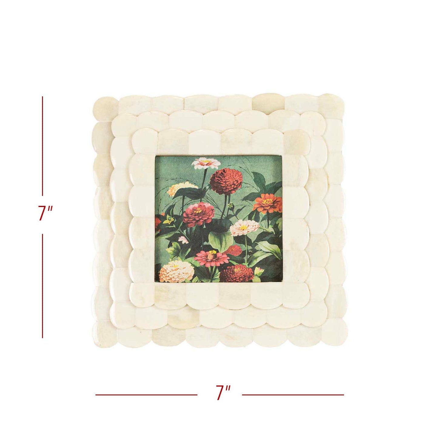 Scallop Picture Frame White Bone