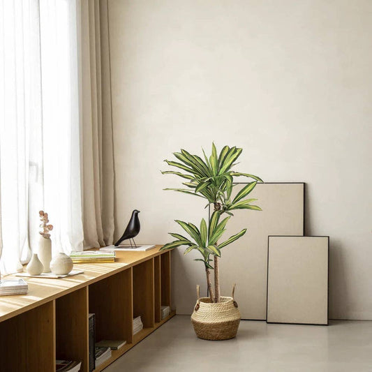 4.5' Artificial Dracaena Tree