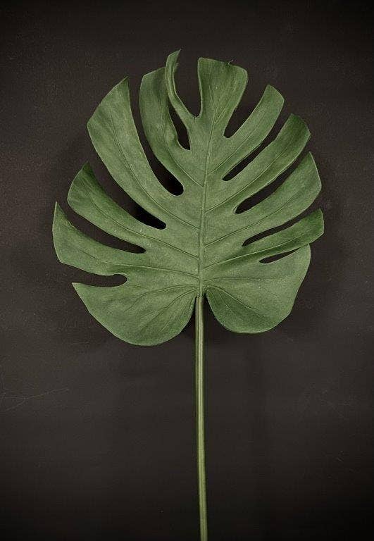 Tropical Leaf Medium