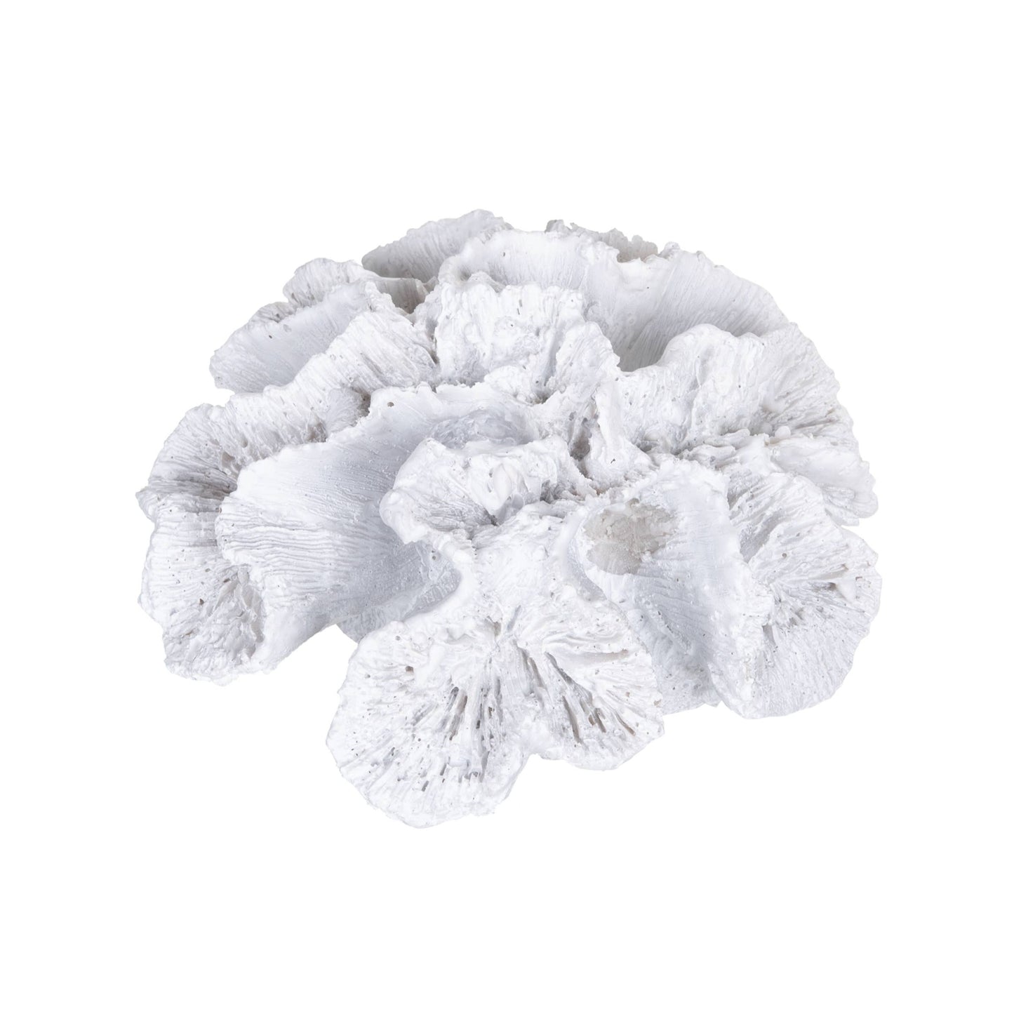 White Grooved Coral Coastal Decorative Figurine